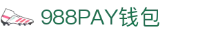 988PAY钱包 - 安全支付工具